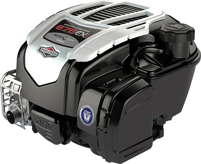 Briggs & Stratton 09T600