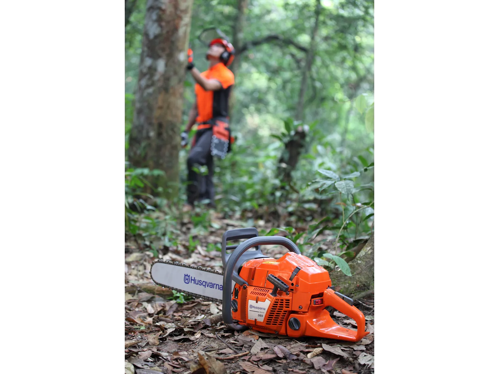 Husqvarna 365 1996 09