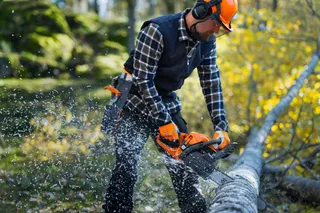 Husqvarna 445 2011 07