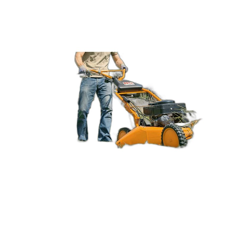 AS Motor AS 53 B4 CAT 020715060001