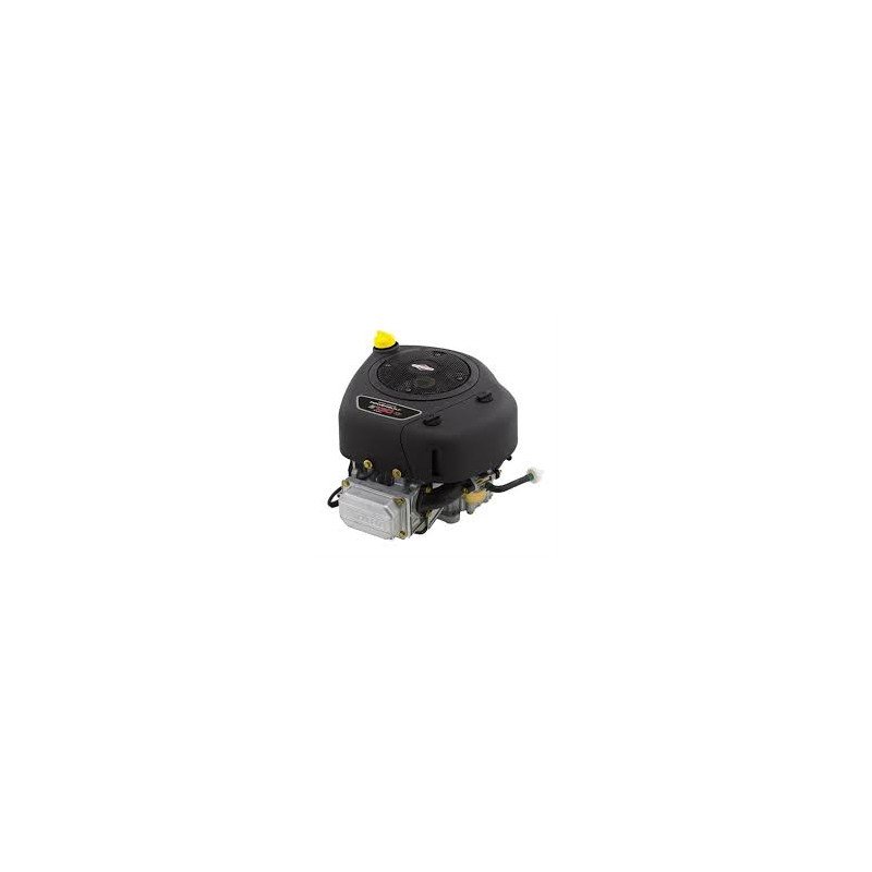 Moteur vertical - 12,3 HP - monocylindre - serie 3125 -   BRIGGS ET STRATTON 21R7770113B5