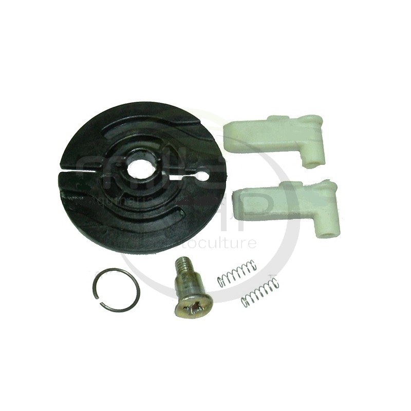 KIT DE CLIQUETS DE LANCEUR POUR ROBIN EY15/20 - 226-50726-08 - 2265072608