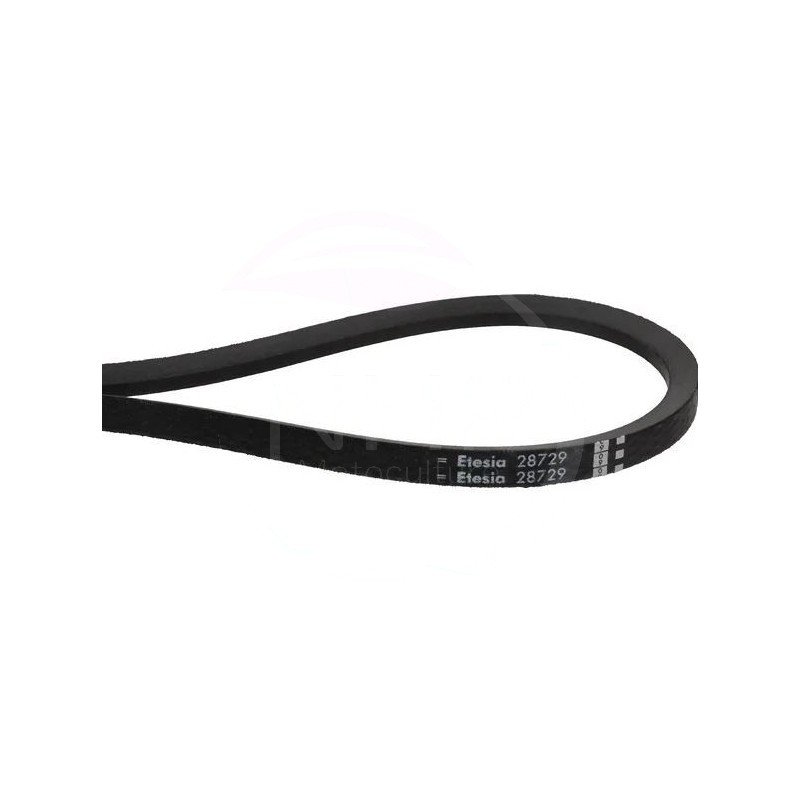 COURROIE TONDEUSE WOLF - ETESIA - 28729 - 28115